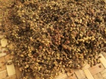 Bhakamilo wild nepali fruit