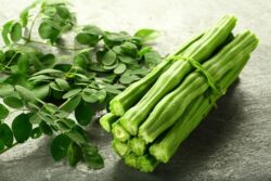 Moringa-shitalchini-sahijan